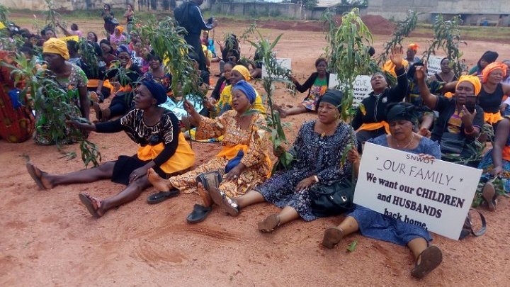 Women and children bear the brunt of Cameroon's conflict 