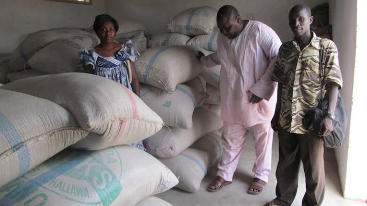 ¿Pueden los bancos comunitarios de grano mitigar la inseguridad alimentaria crónica de Camerún?