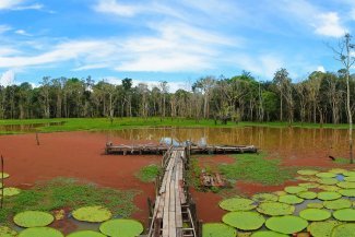 Au nom de sa richesse patrimoniale et son rôle pour le climat, est-il envisageable d'internationaliser l'Amazonie ?