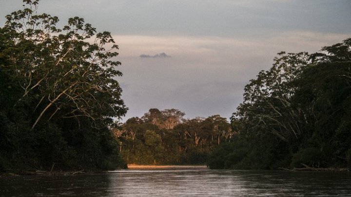 Strengthening community forest rights – a key front in the battle against climate change