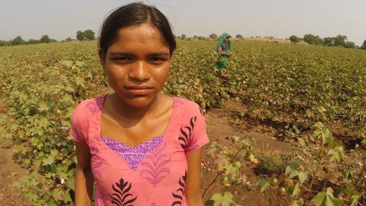 Child labour and exploitation in India's cotton fields