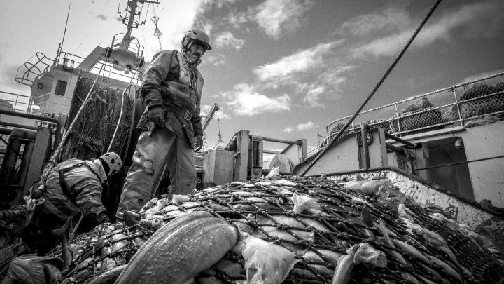 Pêcheur en Atlantique nord-est : une vie au rythme des traits de chalut