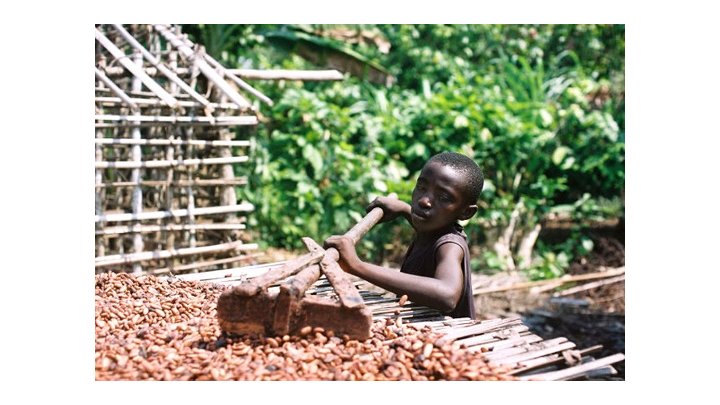 Chocolate and child labour: ending the bitter harvest