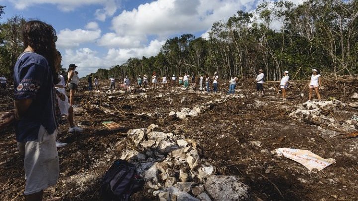 Le Train maya, le mégaprojet qui menace les écosystèmes de la péninsule du Yucatán