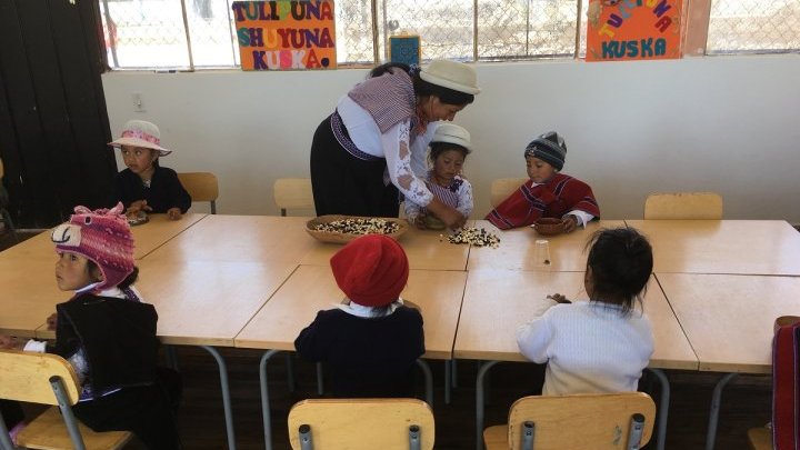 Schools in Ecuador to preserve ancestral languages