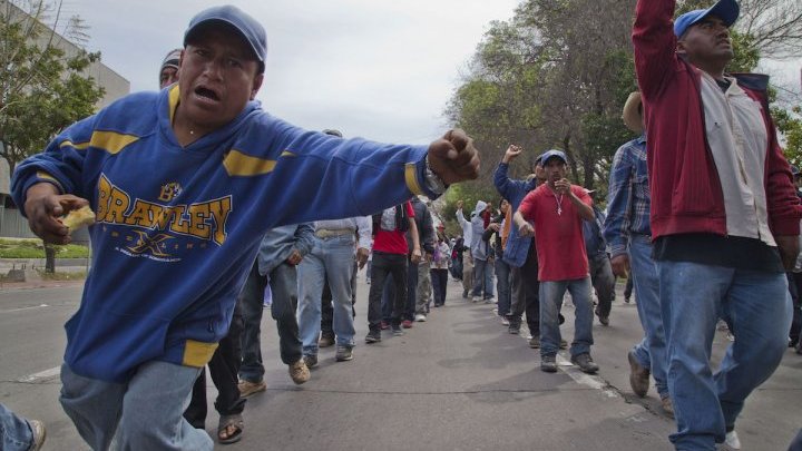 « Les travailleurs de la vallée de San Quintín ne veulent plus être invisibles »