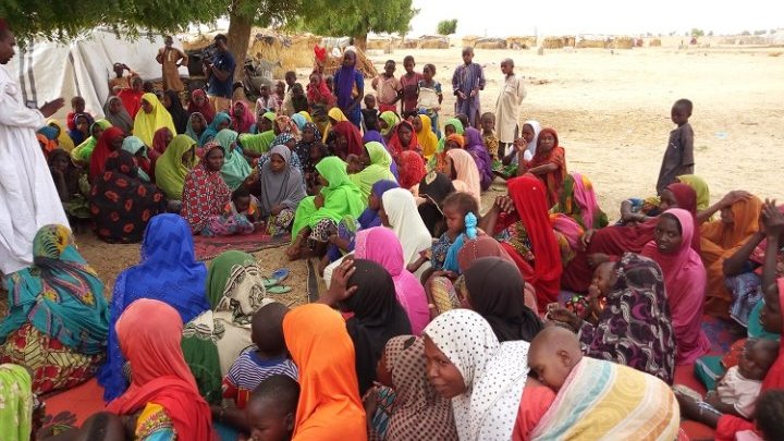 In north-eastern Nigeria, traffickers are preying on vulnerable children in IDP camps