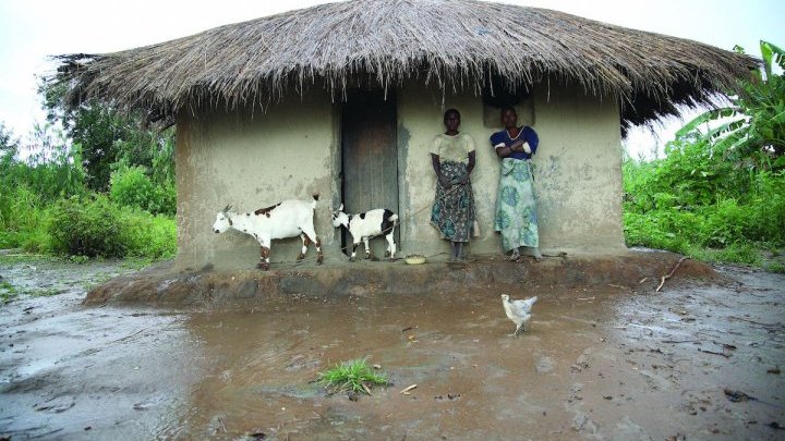 In Malawi, women bear the brunt of climate change
