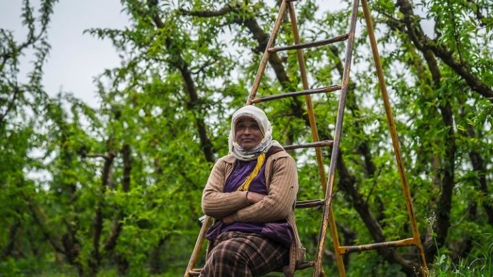 Women farm workers achieve justice on the job in Morocco