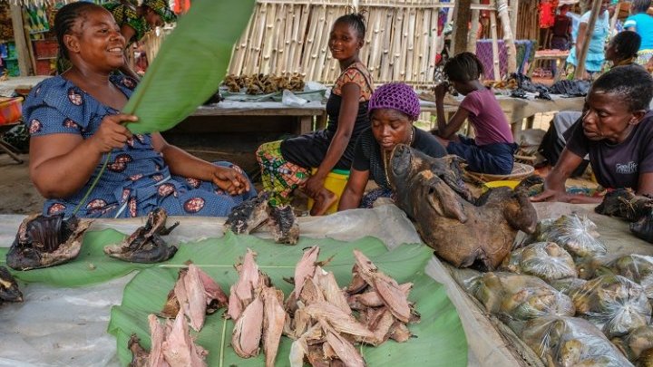 En Afrique centrale, la consommation de viande de brousse ne faiblit pas