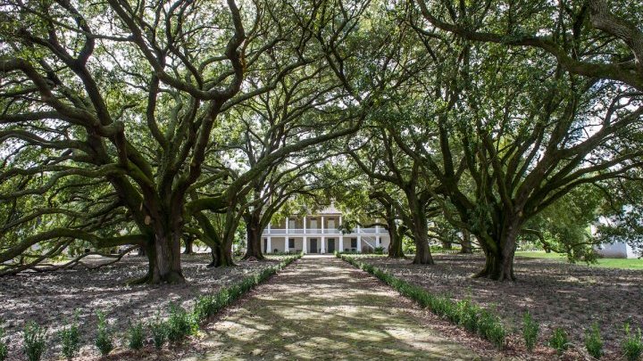 The New Orleans museum looking back at slavery to help America move forward 