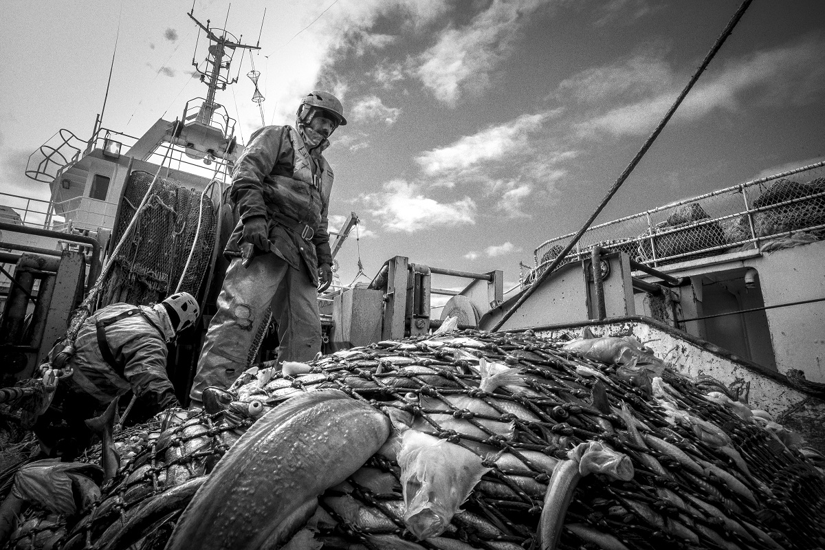 Fishermen in the north-east Atlantic: living at the pace of the