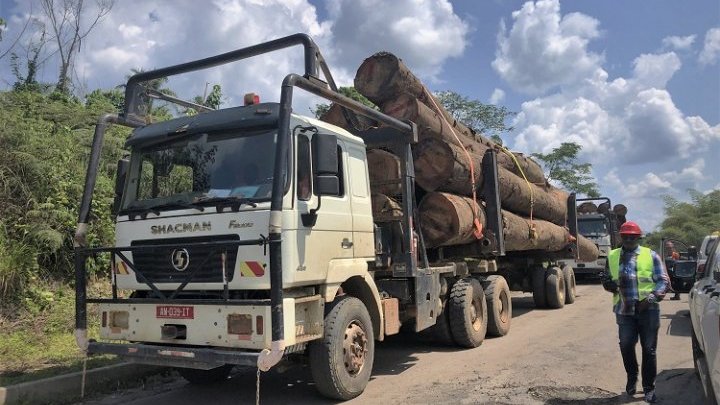Los silvicultores de Gabón sufren las decisiones medioambientales de la comunidad internacional mientras China y otros inversores hacen caja