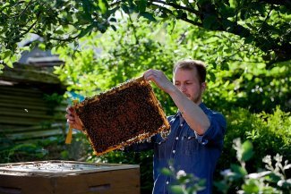 Beekeepers in Western Europe fear for their future
