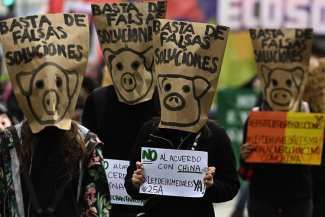 Megafactorías porcinas en Argentina, ¿oportunidad económica o desastre socioambiental?