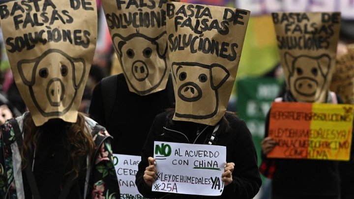Mega industrial pig farms in Argentina: economic opportunity or socio-environmental catastrophe? 