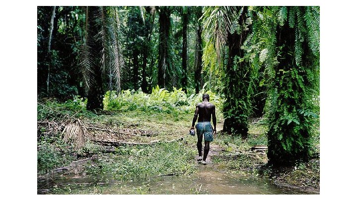 Cameroun : Une société financière américaine se livre à la destruction de la forêt tropicale et de l'emploi 