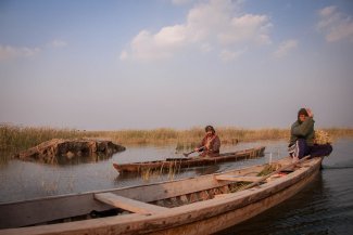 In Iraq's marshlands, researchers are racing to document a disappearing dialect