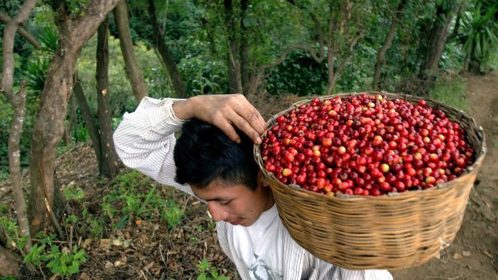 Is it time to rethink Fairtrade?