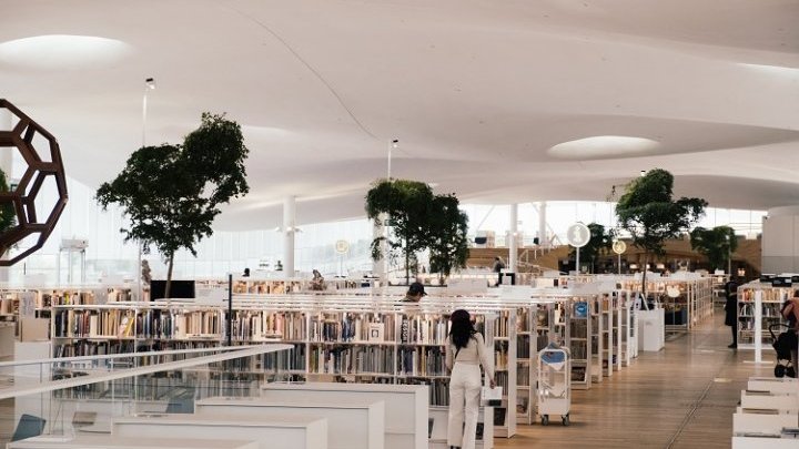 Around the world in seven public libraries, or, how to be out of tune with the capitalist logic of our time