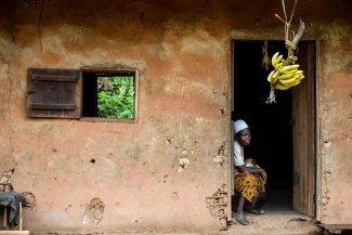 Un intrincado conflicto asesta un duro golpe al sector agrícola camerunés