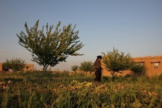 Les coopératives de femmes surmontent les guerres liées à l'eau et la sécheresse climatique au Rojava