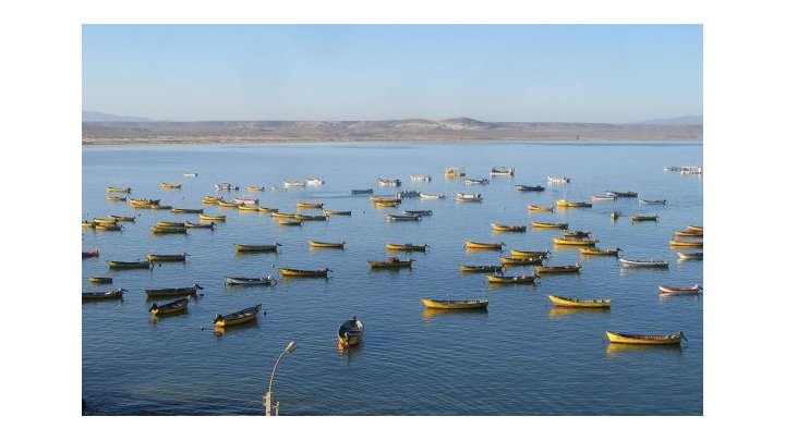Chile intenta privatizar el mar