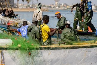 Face au défi climatique, comment les syndicats peuvent-ils accompagner les efforts du Sénégal dans sa transition énergétique ?