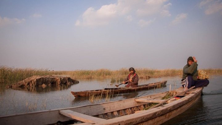In Iraq's marshlands, researchers are racing to document a disappearing dialect