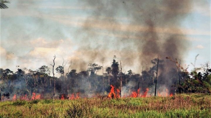 La Amazonia arde, somos unos hipócritas
