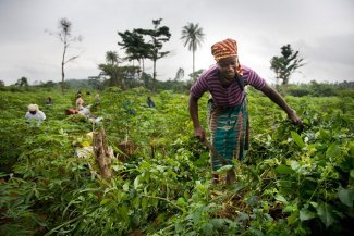 A pesar de las reformas legales, las mujeres africanas se enfrentan a sistemas patriarcales que limitan su tenencia de tierras