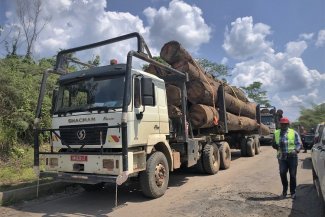 Los silvicultores de Gabón sufren las decisiones medioambientales de la comunidad internacional mientras China y otros inversores hacen caja