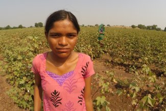 Child labour and exploitation in India's cotton fields