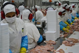 Au Brésil, les droits des travailleurs sont hachés dans la filière de la viande