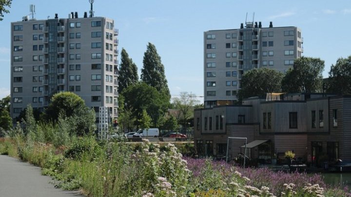 Rotterdam peut-elle éviter la « gentrification verte » et miser sur une adaptation climatique inclusive ? 