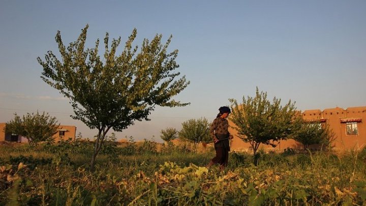 Women's cooperatives overcome water wars and climate drought in Rojava