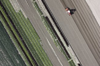 When agriculture focuses on profit instead of food