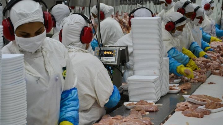 In Brazil, workers' rights are minced in the meat industry 