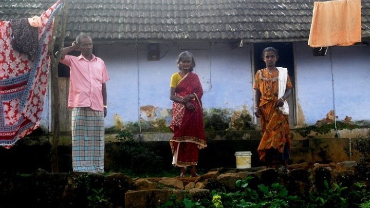 Los recolectores de té indios se mueren de hambre