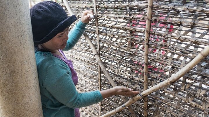 The women workers of Vietnam's silk farming industry
