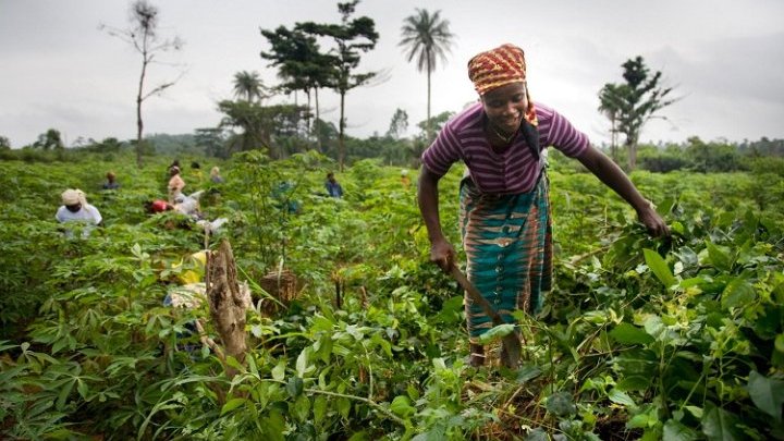 Despite reforms, patriarchal systems continue to hinder land ownership by African women 