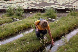 Can the Netherlands stop polluting its own waters to feed the world?