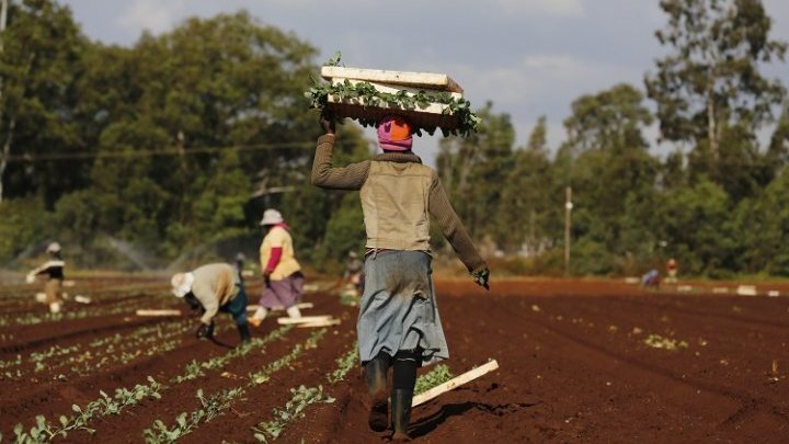 Unions strive to level the playing field for Africa's 34 million migrant workers