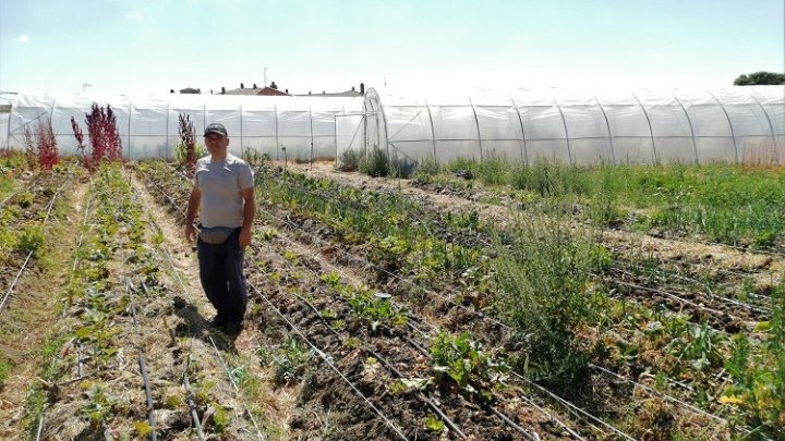 « Cultiver me coûte autant qu'auparavant » : la crise des intrants sous le prisme de l'agriculture bio