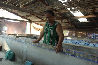 Insect farming is not only good for the environment but is also improving the lives of many farmers in Thailand