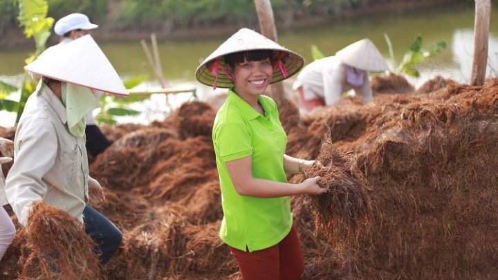 La mutation du monde agricole en Asie du Sud-Est, sous l'influence d'une nouvelle génération d'entrepreneurs locaux formés à l'université