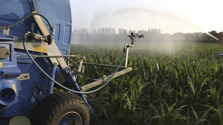 Cultivar alimentos para cosechar futuro: Argentina planta cara al modelo agroindustrial