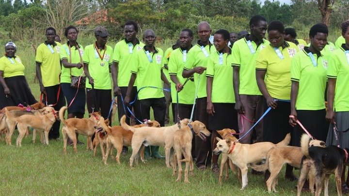 En el norte de Uganda, la terapia con perros ayuda a los sobrevivientes de la guerra a sanar su trauma
