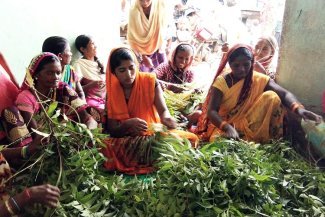 Cómo una agricultura respetuosa con el entorno ayuda a los agricultores indios con menos recursos a capear la incertidumbre climática