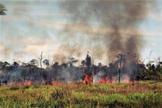 L'Amazonie brûle et nous sommes tous des hypocrites